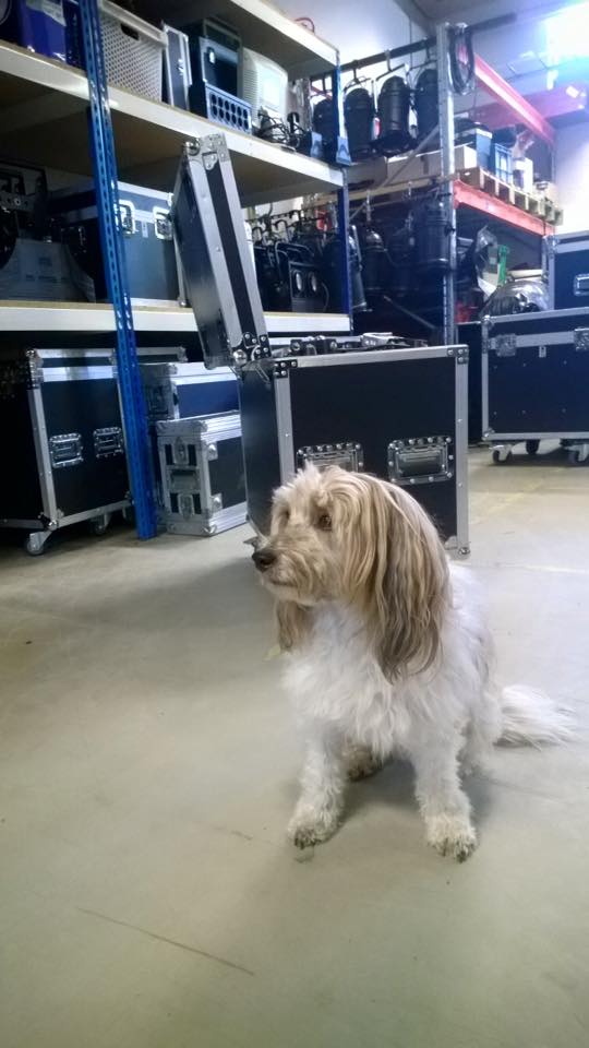 Finbesök på lagret idag